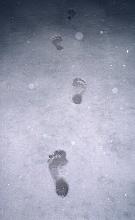 Следы босых ног на снегу